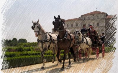 Villa Venaria 2018
