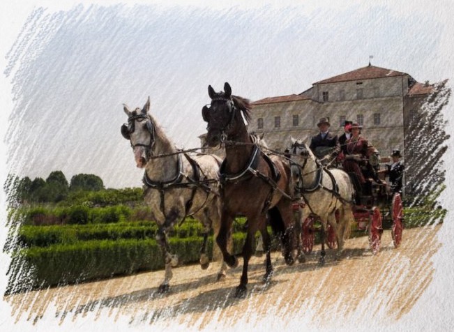 Villa Venaria 2018
